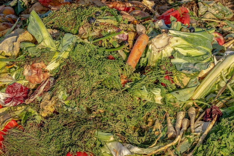 Compost Tea