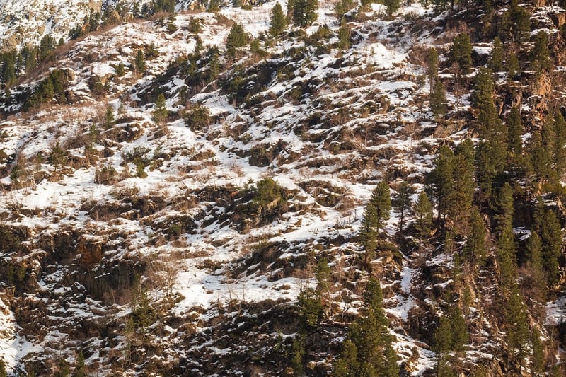 Landscape
